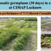 FAPR-GAP430-27Aug-2021 16-003 FAPR-GAP430-27Aug-2021 16-003