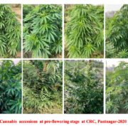 FAPR-GAP430-27Aug-2021 25-004 FAPR-GAP430-27Aug-2021 25-004