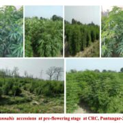 FAPR-GAP430-27Aug-2021 26-005 FAPR-GAP430-27Aug-2021 26-005