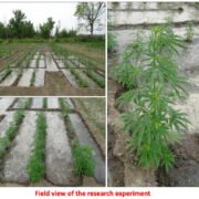 FAPR-GAP430-27Aug-2021 48-007 FAPR-GAP430-27Aug-2021 48-007