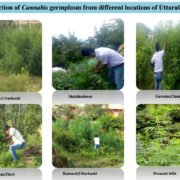 FAPR-GAP430-27Aug-2021 7-002 FAPR-GAP430-27Aug-2021 7-002